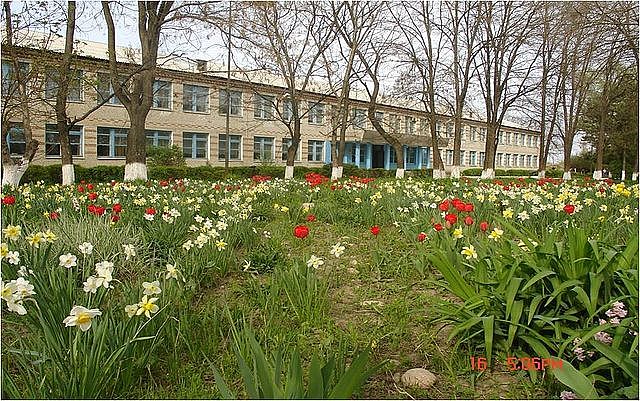 Бывшая школа 8. 8 Школа Минеральные воды. Храм села Левокумка Минеральные воды. Школа 8 Левокумка. Школа 8 Левокумка Минеральные воды.