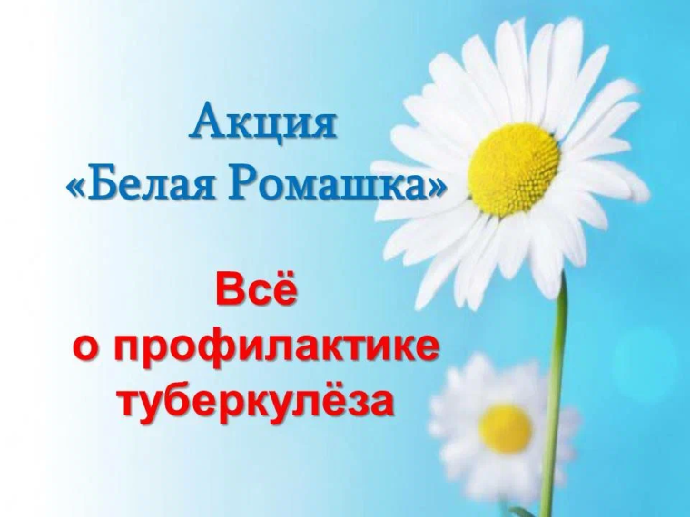 Акция «Белая ромашка – дыши легко».